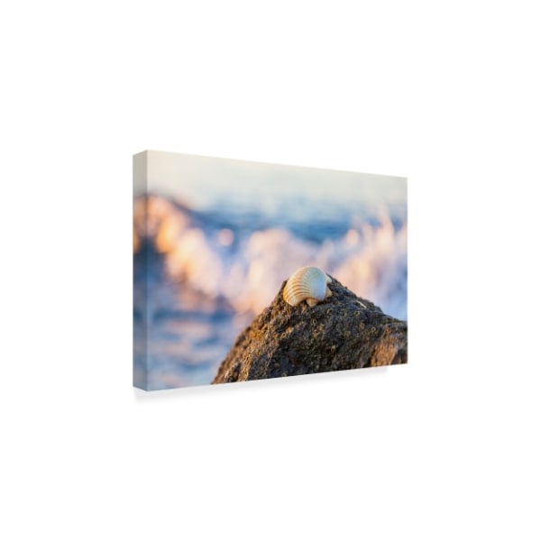 Chris Moyer 'Shell View Surf' Canvas Art,12x19